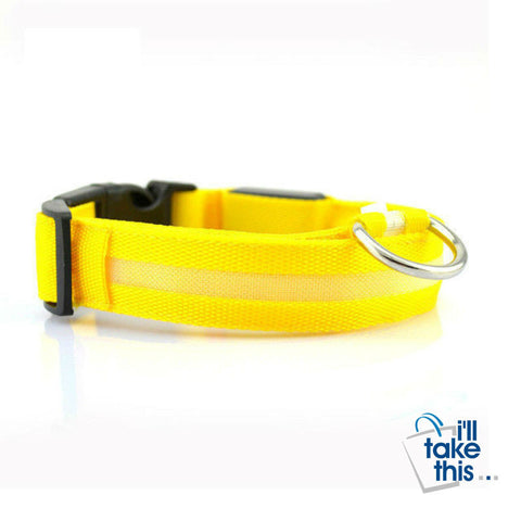 Image of LED Light-up Dog Collars - LED Light Night Safety Light-up Flash Glowing in Dark LED Dog Collars - I'LL TAKE THIS