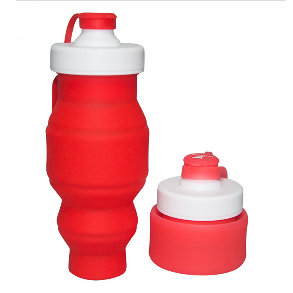 Collapsible Silicone Water Bottle 520ml / 17Oz - I'LL TAKE THIS