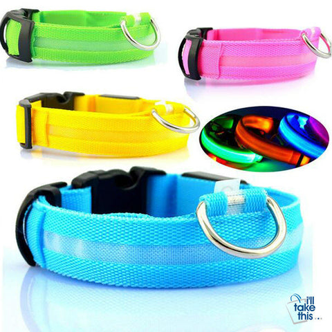 Image of LED Light-up Dog Collars - LED Light Night Safety Light-up Flash Glowing in Dark LED Dog Collars - I'LL TAKE THIS