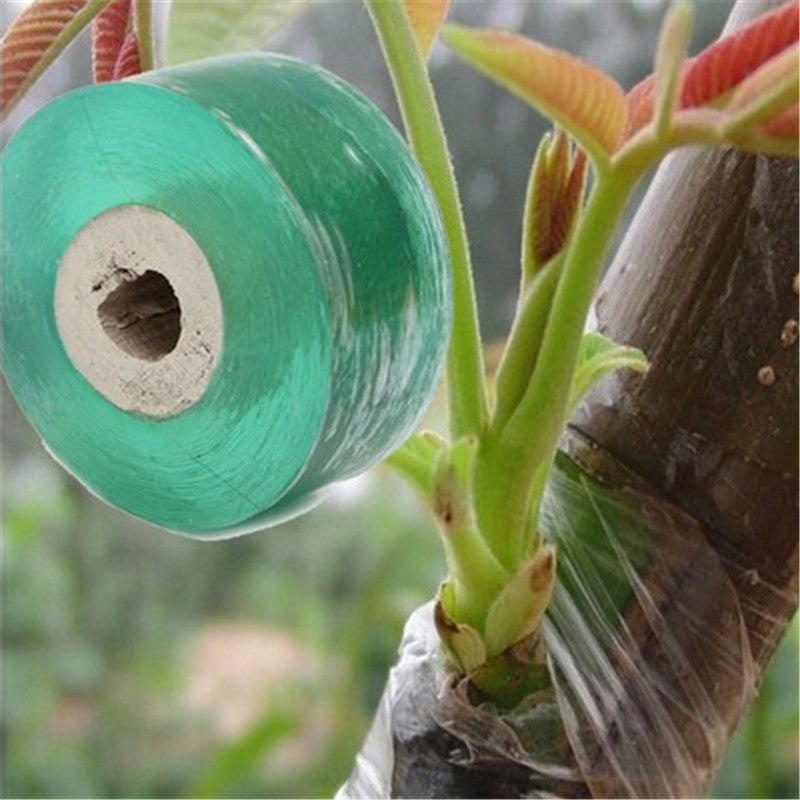 Grafting Tape for the prevention of disease in your Shrubs, Trees or Fruit Tree PVC bind belt or tie Tape 2CM x 100M / 1 RolI - I'LL TAKE THIS