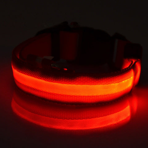 Image of LED Light-up Dog Collars - LED Light Night Safety Light-up Flash Glowing in Dark LED Dog Collars - I'LL TAKE THIS