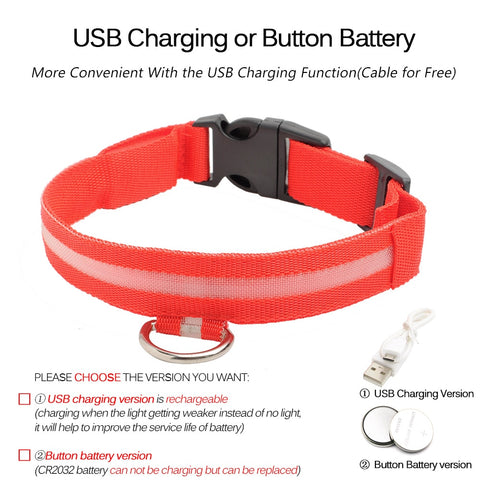 Image of Led Dog Collar USB Charging or Batteries, 7 Colors - 6 Sizes XS ~ XXL - I'LL TAKE THIS