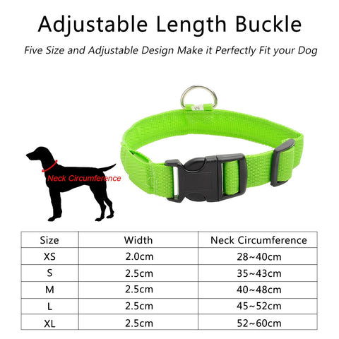 Image of Led Dog Collar USB Charging or Batteries, 7 Colors - 6 Sizes XS ~ XXL - I'LL TAKE THIS