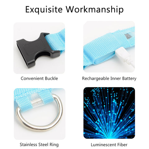 Image of Led Dog Collar USB Charging or Batteries, 7 Colors - 6 Sizes XS ~ XXL - I'LL TAKE THIS