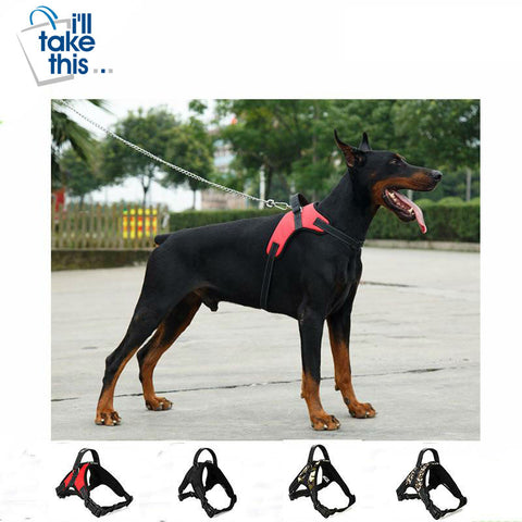 Image of Dog Harness POLICE K9 in 14 Varying Color Options - Great Dog Vest Dog or Pet Saddle Harness S to XL - I'LL TAKE THIS