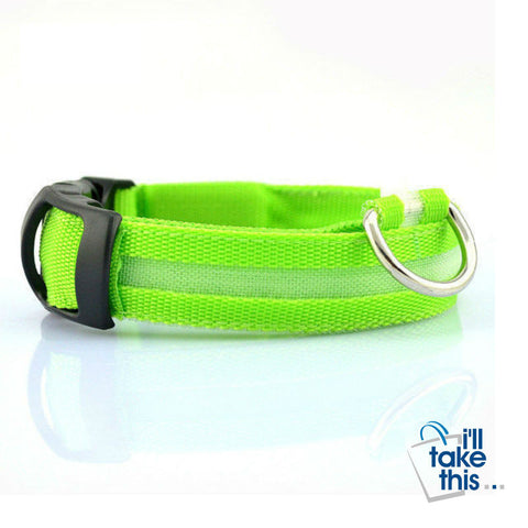 Image of LED Light-up Dog Collars - LED Light Night Safety Light-up Flash Glowing in Dark LED Dog Collars - I'LL TAKE THIS