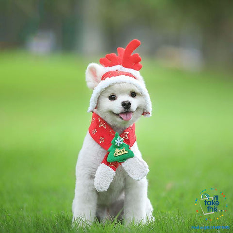 Image of Pet Lovers our Dog/Cat Santa/Birthday Cap, Scarf, Antler and Christmas Hat Costume, S-XXL - I'LL TAKE THIS