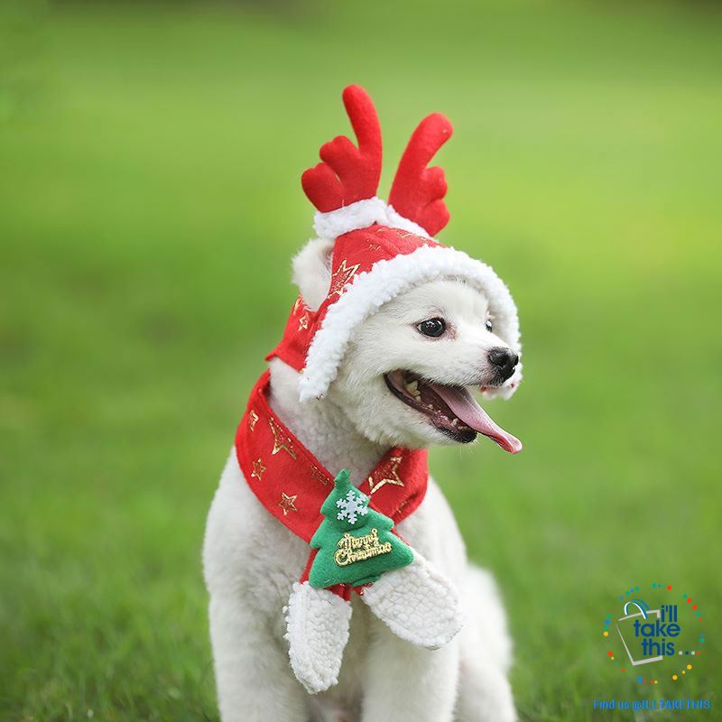 Pet Lovers our Dog/Cat Santa/Birthday Cap, Scarf, Antler and Christmas Hat Costume, S-XXL - I'LL TAKE THIS