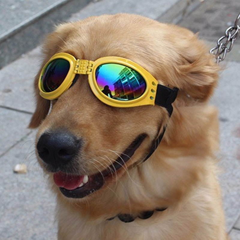 Dog UV Sunglasses Foldable Glasses Windproof - 5 Color Options for Medium to Large Dogs - I'LL TAKE THIS