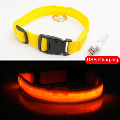 Image of Led Dog Collar USB Charging or Batteries, 7 Colors - 6 Sizes XS ~ XXL - I'LL TAKE THIS