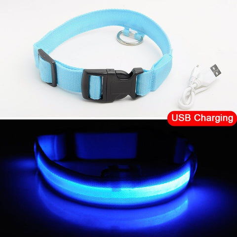 Image of Led Dog Collar USB Charging or Batteries, 7 Colors - 6 Sizes XS ~ XXL - I'LL TAKE THIS
