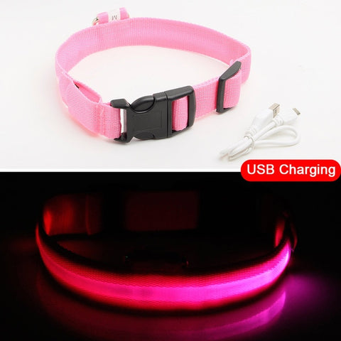 Image of Led Dog Collar USB Charging or Batteries, 7 Colors - 6 Sizes XS ~ XXL - I'LL TAKE THIS