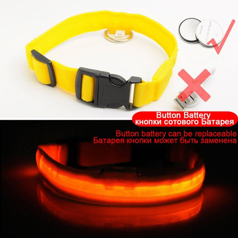 Image of Led Dog Collar USB Charging or Batteries, 7 Colors - 6 Sizes XS ~ XXL - I'LL TAKE THIS