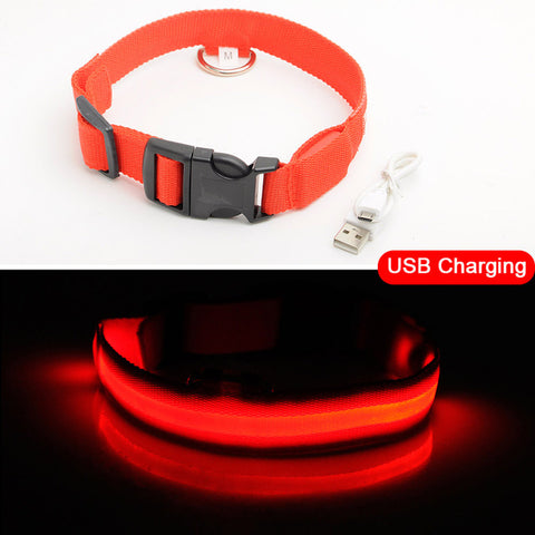 Image of Led Dog Collar USB Charging or Batteries, 7 Colors - 6 Sizes XS ~ XXL - I'LL TAKE THIS