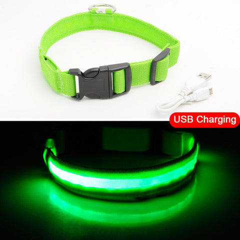 Image of Led Dog Collar USB Charging or Batteries, 7 Colors - 6 Sizes XS ~ XXL - I'LL TAKE THIS