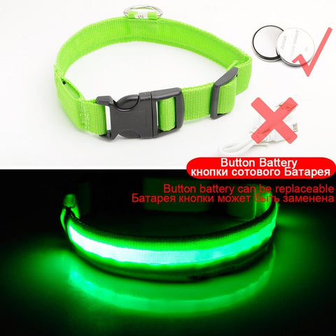 Image of Led Dog Collar USB Charging or Batteries, 7 Colors - 6 Sizes XS ~ XXL - I'LL TAKE THIS