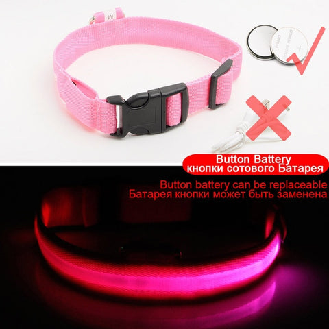 Image of Led Dog Collar USB Charging or Batteries, 7 Colors - 6 Sizes XS ~ XXL - I'LL TAKE THIS