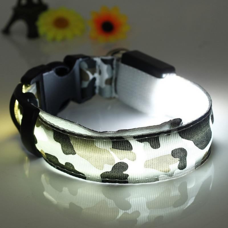 LED Light-up Dog Collars Camouflage Print -  Flashing or Glow In The Dark LED Nylon Pet Collar - I'LL TAKE THIS