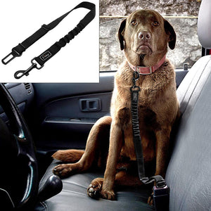 Adjustable Pet Seat Belt - Safety Leads Vehicle Seat-belt Harness with Elastic Bungee Leash