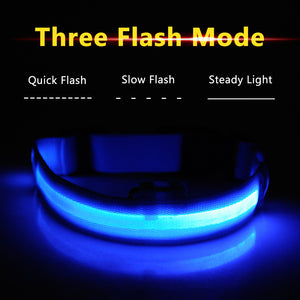 Led Dog Collar USB Charging or Batteries, 7 Colors - 6 Sizes XS ~ XXL