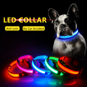 Led Dog Collar USB Charging or Batteries, 7 Colors - 6 Sizes XS ~ XXL - I'LL TAKE THIS