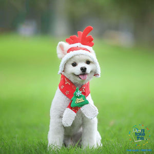 Pet Lovers our Dog/Cat Santa/Birthday Cap, Scarf, Antler and Christmas Hat Costume, S-XXL - I'LL TAKE THIS