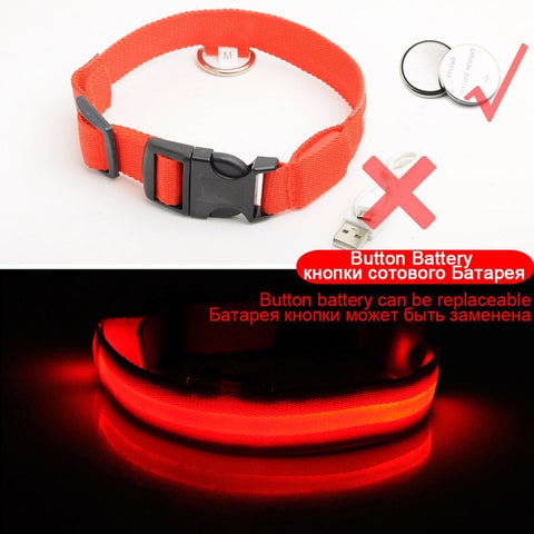 Image of Led Dog Collar USB Charging or Batteries, 7 Colors - 6 Sizes XS ~ XXL - I'LL TAKE THIS