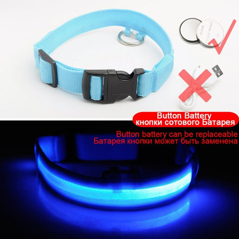 Image of Led Dog Collar USB Charging or Batteries, 7 Colors - 6 Sizes XS ~ XXL - I'LL TAKE THIS