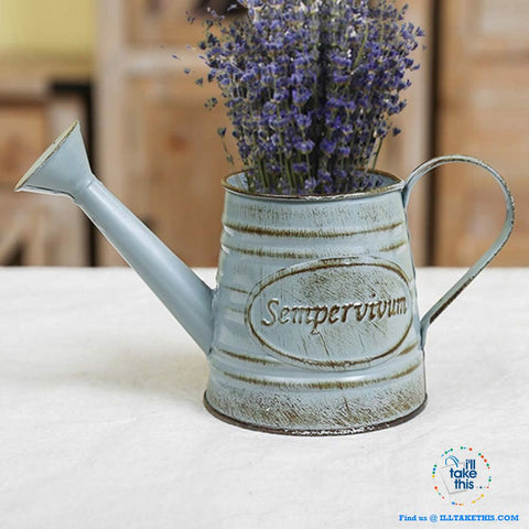 Image of Vintage Rural series of charming vintage ironware to decorate your home - I'LL TAKE THIS
